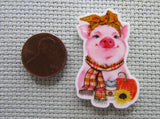 Second view of the Harvest Pig Needle Minder