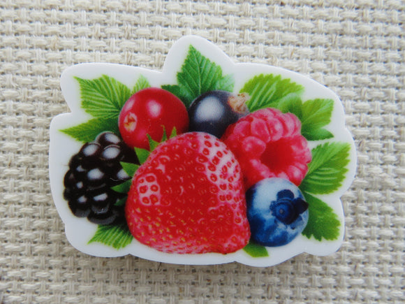First view of Yummy Berries Needle Minder.