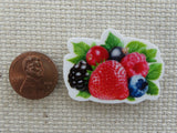 Second view of Yummy Berries Needle Minder.