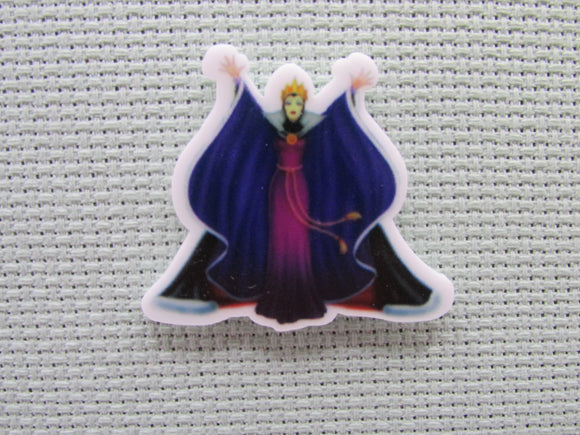 First view of the Evil Queen Needle Minder