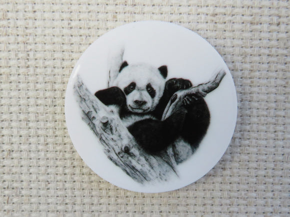 First view of Panda in a Tree Needle Minder