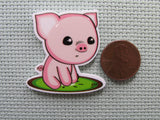 Second view of the Pig Needle Minder