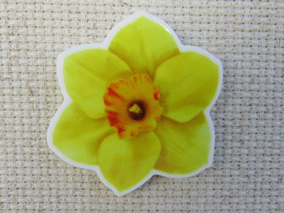 First view of Daffodil Needle Minder.