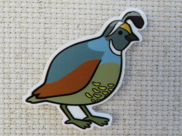 First view of Quail Needle Minder.