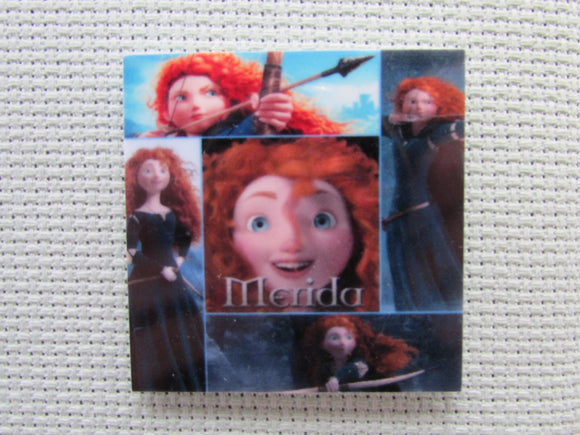First view of the Many Merida Needle Minder