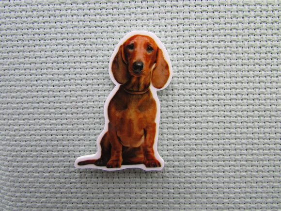 First view of the Dachshund Needle Minder