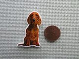 Second view of the Dachshund Needle Minder