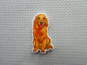 First view of the Golden Lab Needle Minder