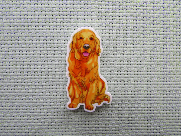 First view of the Golden Lab Needle Minder