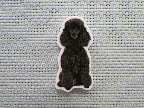 First view of the Black Poodle Needle Minder