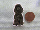Second view of the Black Poodle Needle Minder