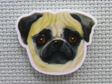 First view of the Pug Needle Minder