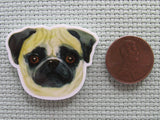 Second view of the Pug Needle Minder