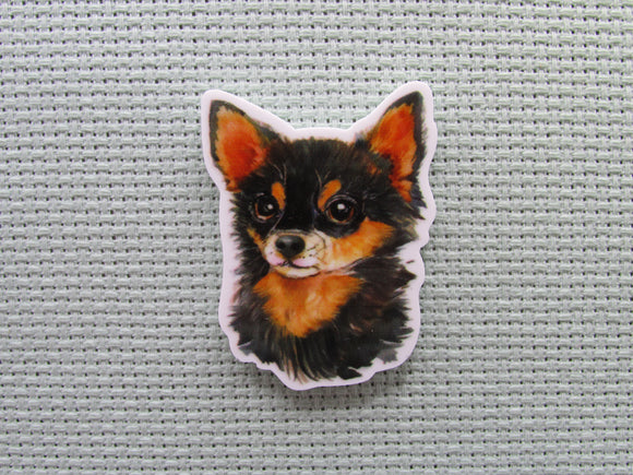 First view of the Chihuahua Needle Minder