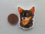 Second view of the Chihuahua Needle Minder