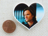 Second view of Sam in a Heart Needle Minder.
