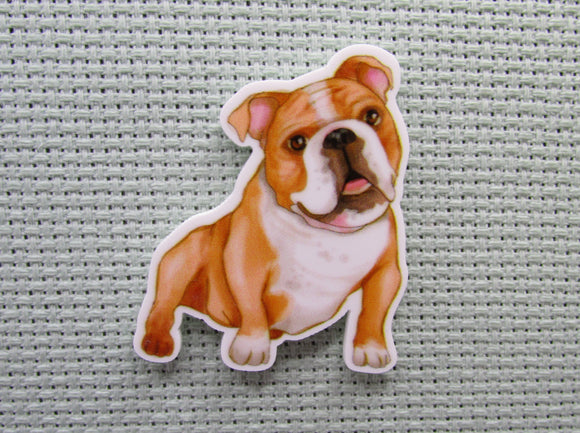First view of the Bull Dog Needle Minder