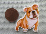 Second view of the Bull Dog Needle Minder