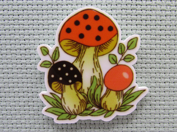 First view of the Mushrooms Needle Minder