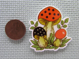 Second view of the Mushrooms Needle Minder