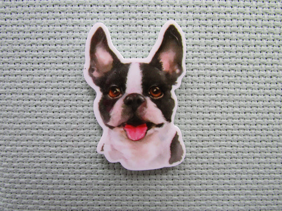 First view of the Boston Terrier Needle Minder