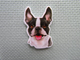 First view of the Boston Terrier Needle Minder