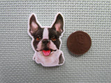 Second view of the Boston Terrier Needle Minder