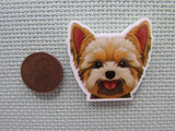 Second view of the Tan Terrier Needle Minder