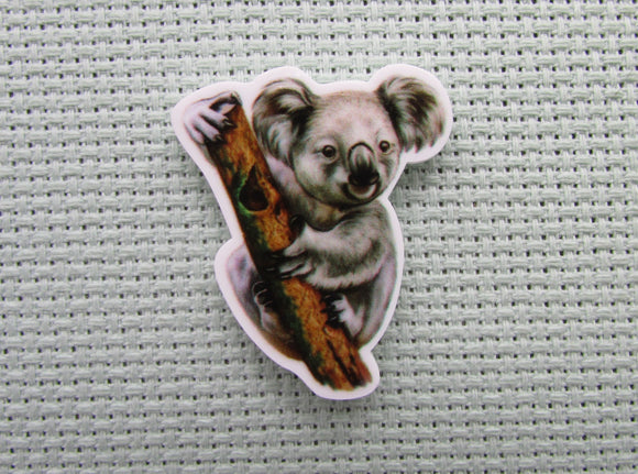 First view of the Koala in a Tree Needle Minder