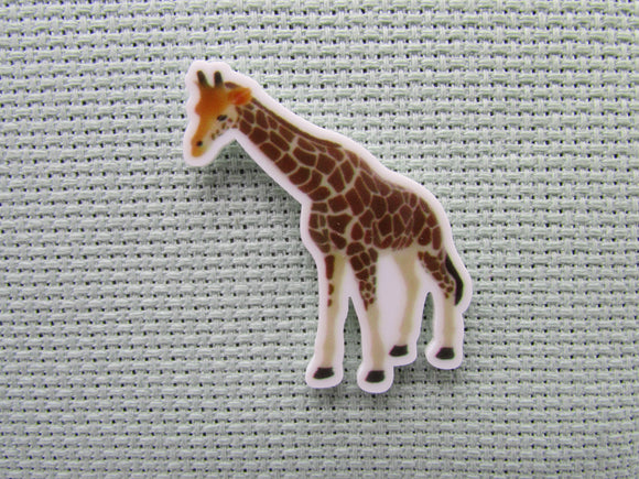 First view of the Giraffe Needle Minder