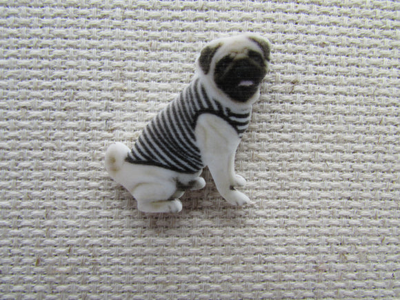 First view of the Sweater Wearing Pug Needle Minder