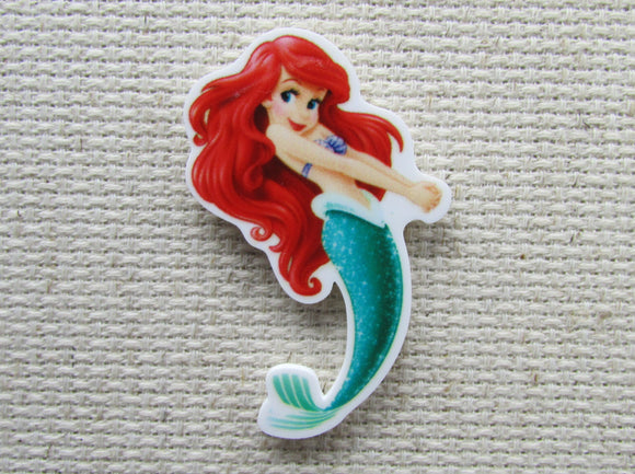 First view of the Ariel Needle Minder