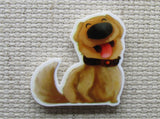 First view of happy dog Needle Minder