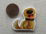 Second view of happy dog Needle Minder