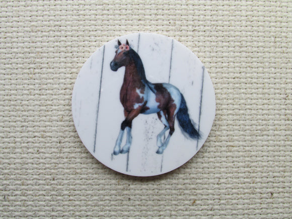 First view of the Horse Needle Minder