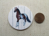 Second view of the Horse Needle Minder