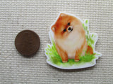 Second view of the Curious Pomeranian Needle Minder