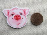 Second view of the Pig Face Needle Minder