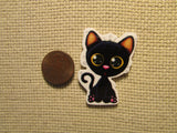 Second view of the Black Cat Needle Minder
