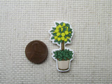 Second view of the Lemon Tree Needle Minder