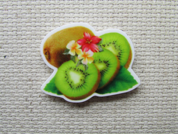 First view of the Kiwi Fruit Needle Minder