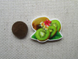 Second view of the Kiwi Fruit Needle Minder