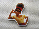 First view of the Dolores from Encanto Needle Minder, Cover Minder, Magnets 