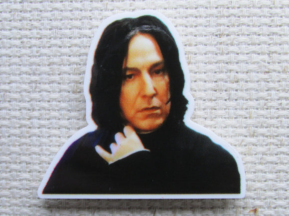 First view of the Snape Needle Minder