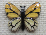 First view of the Yellow Butterfly Needle Minder  