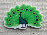 First view of beautiful peacock needle minder.