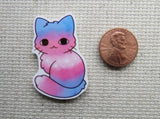 Second view of transsexual rainbow cat needle minder.