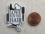 Second view of Love Is In The Hair Needle Minder.