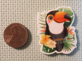 Second view of the Toucan Needle Minder