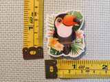 Third view of the Toucan Needle Minder